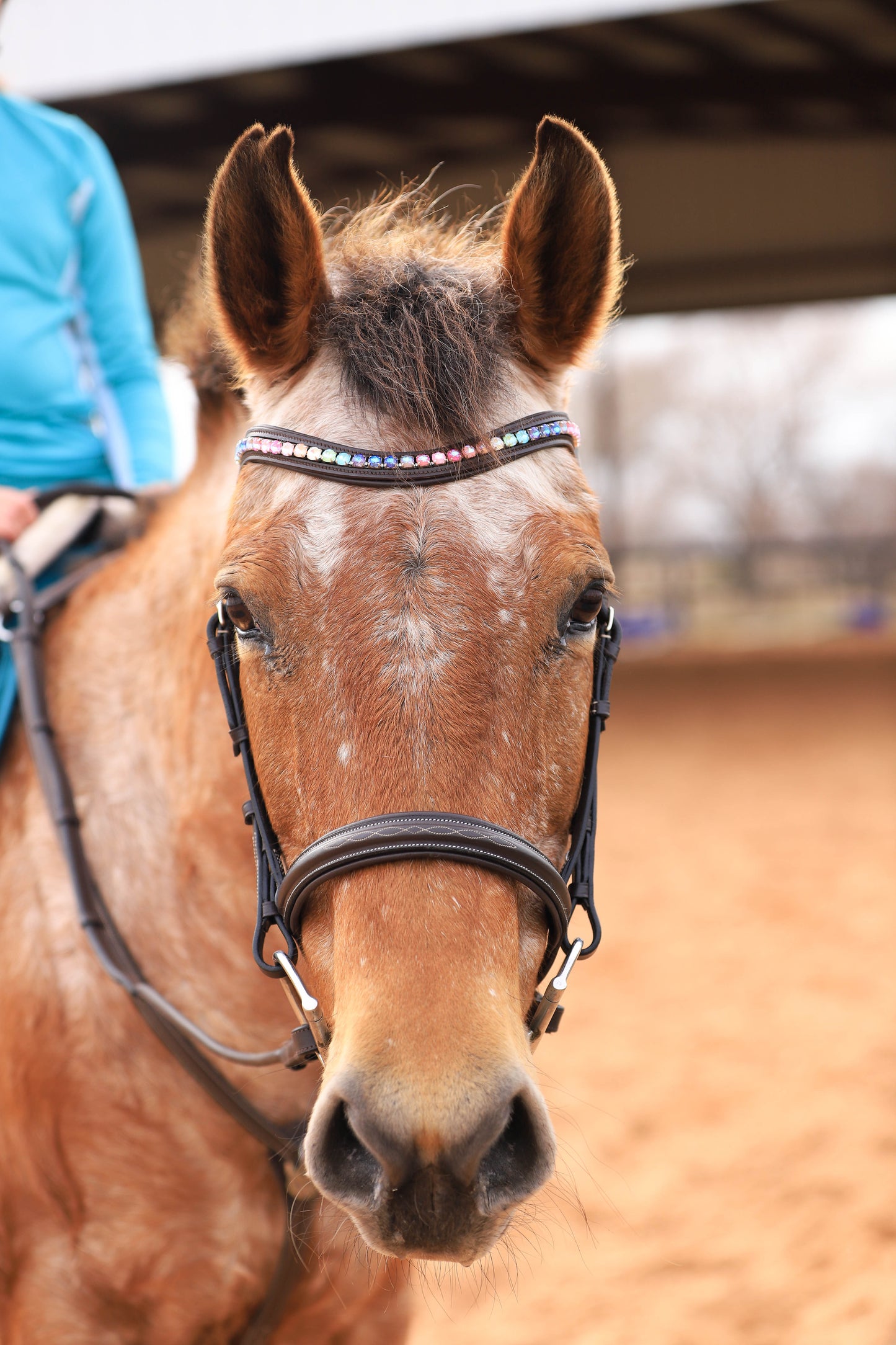 Rainbow Dream Browband