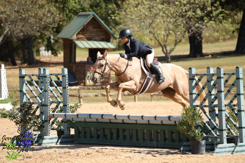 Huntfield Fancy Reins - Dark Brown