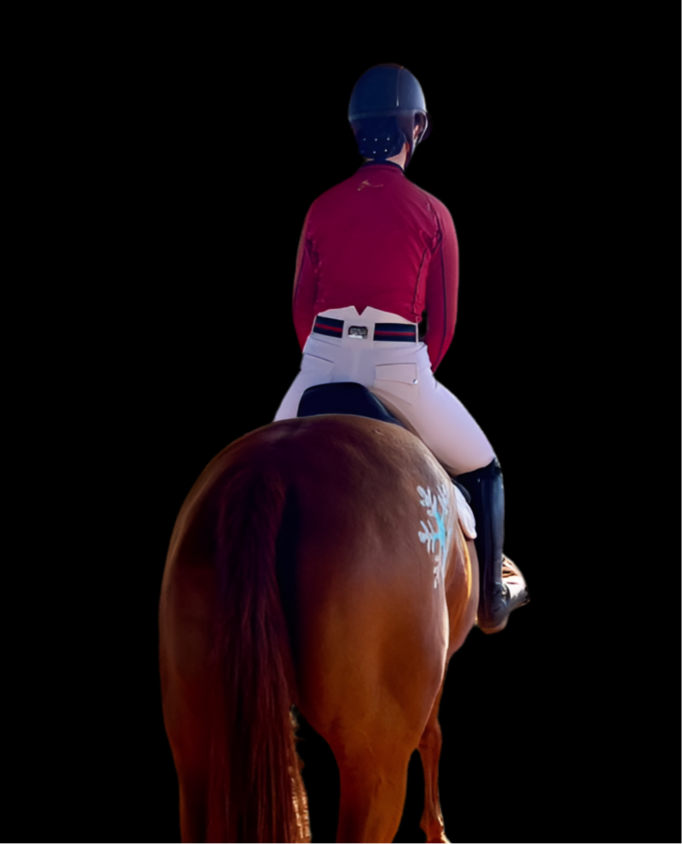 Regal Breeches - White Full Seat