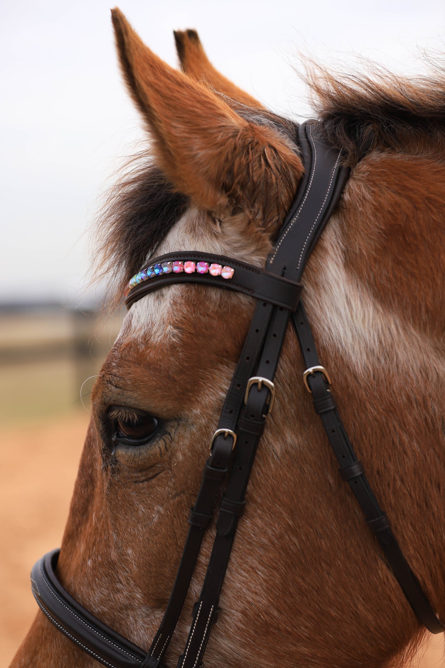 Rainbow Dream Browband