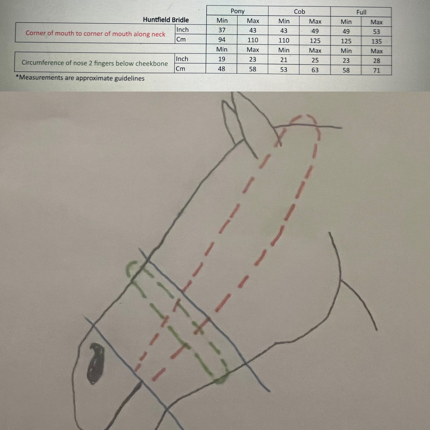 Huntfield Noseband - Dark Brown