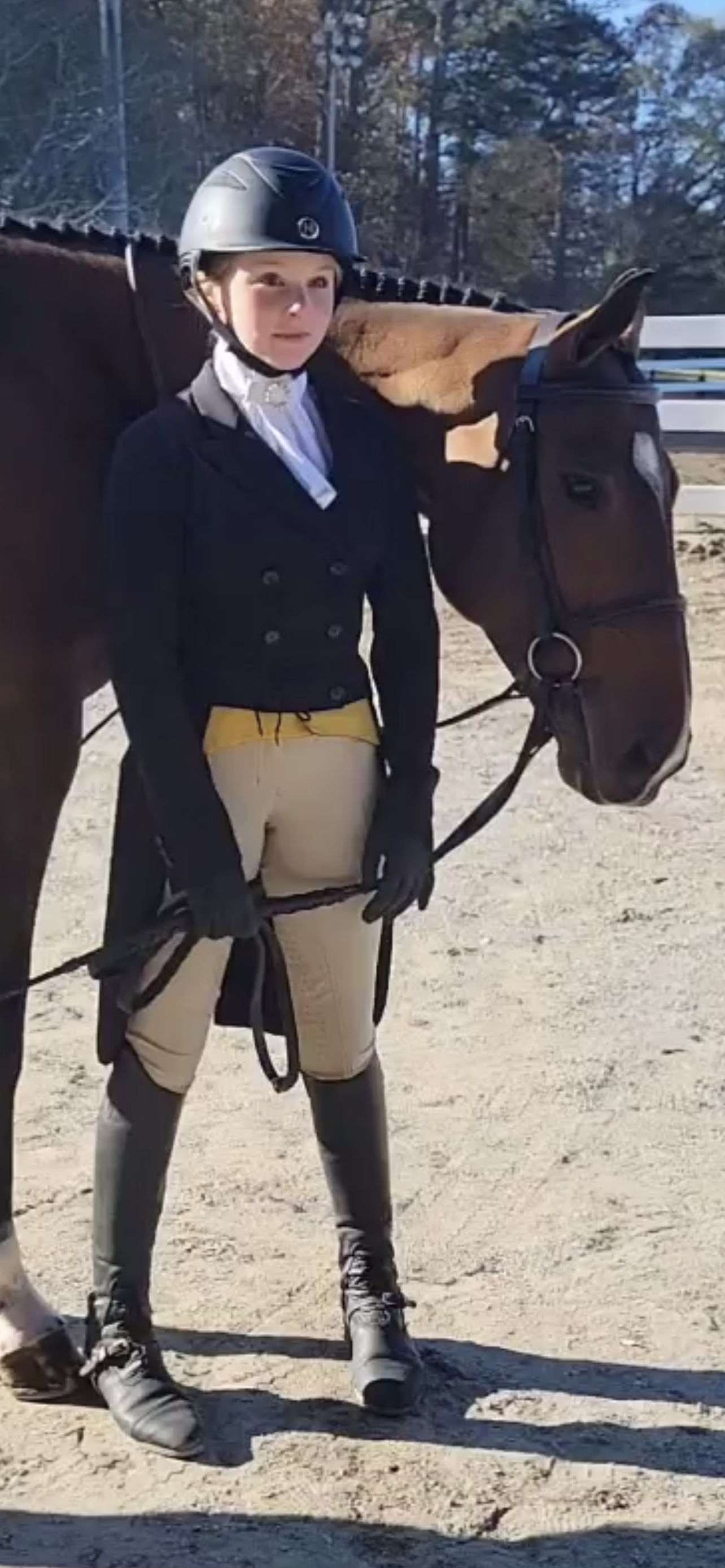 Regal Breeches - Beige - Half Seat Silicone