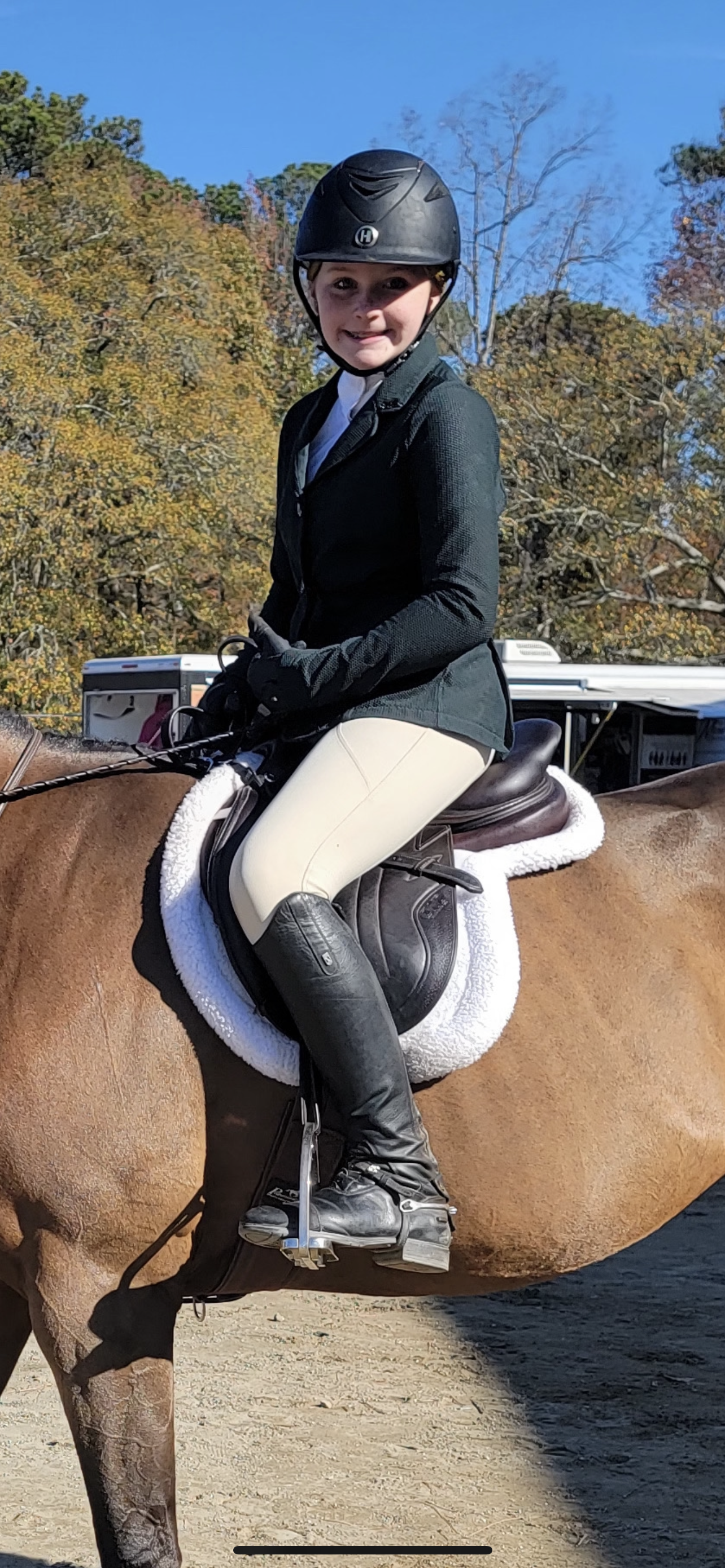 Regal Breeches - Beige - Half Seat Silicone