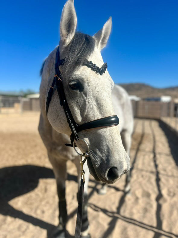 Icon Browband