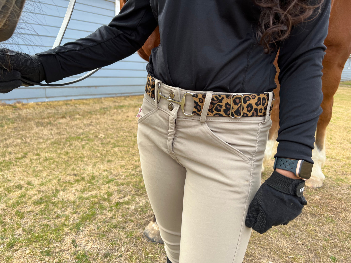 Animal Collection - Himalayan Goddess Bit Belt