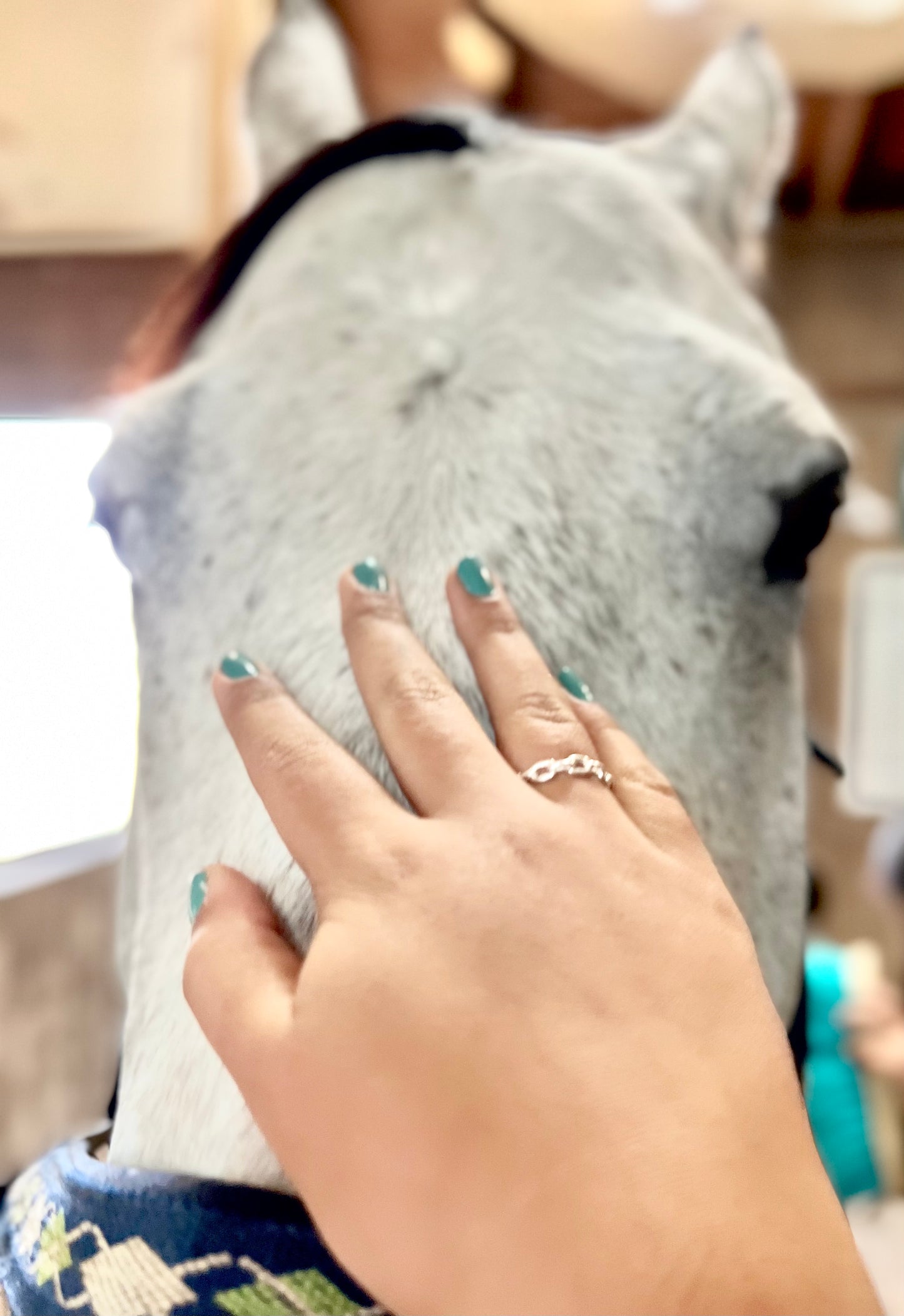 Sterling Silver Adjustable Link Ring