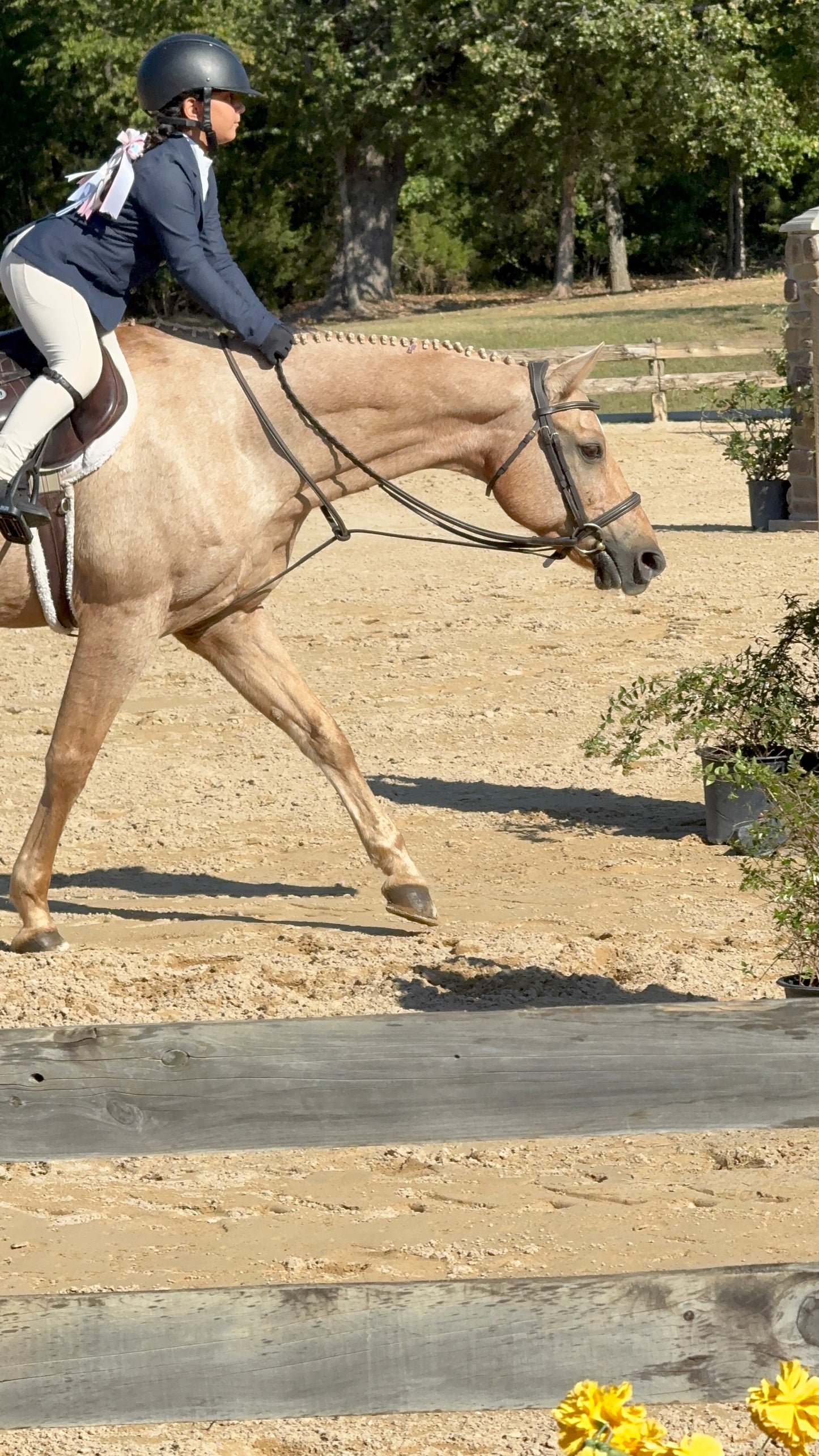 Huntfield Fancy Reins - Dark Brown
