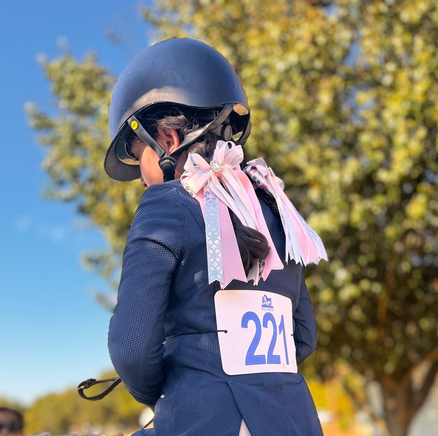 Equestrian Show Bows - Sparkling Pink