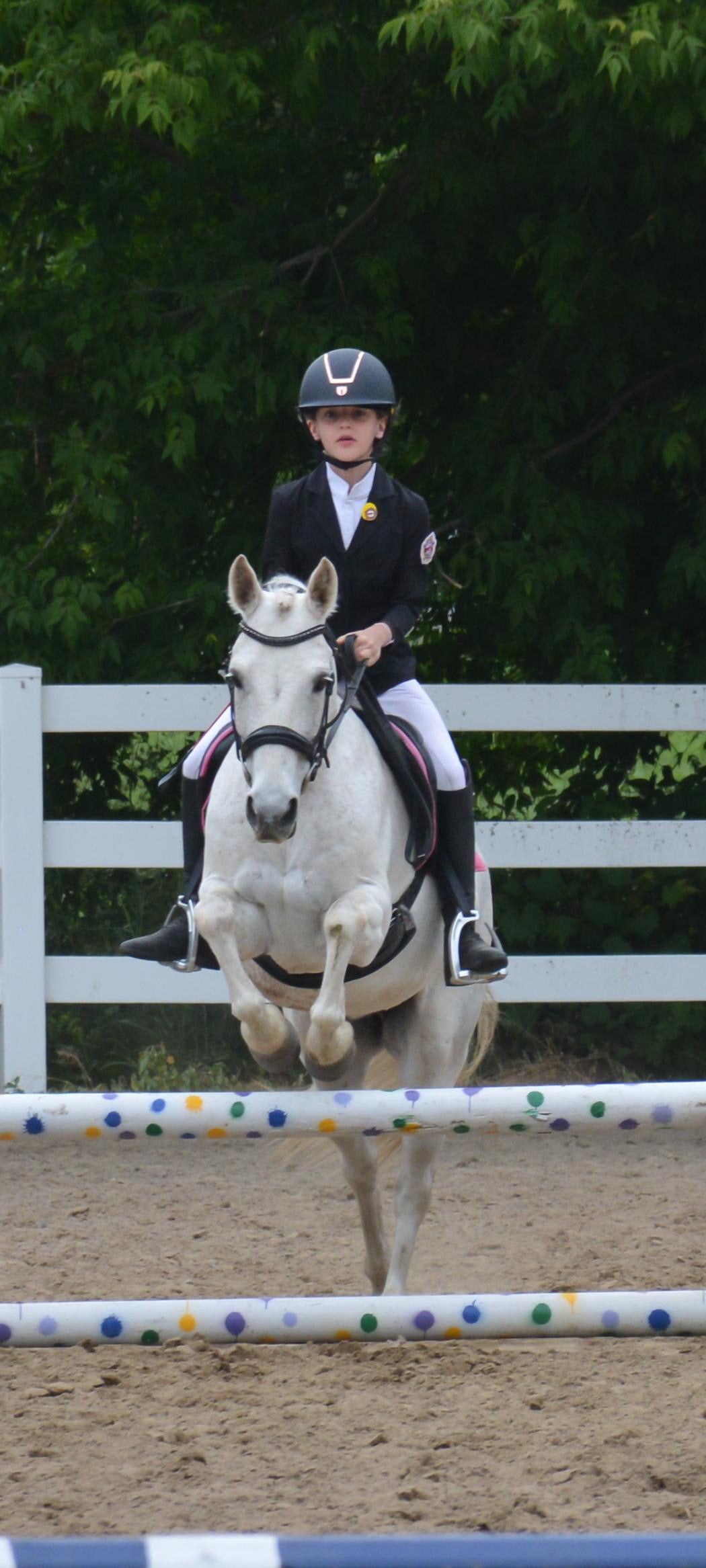 Regal Breeches - White Full Seat