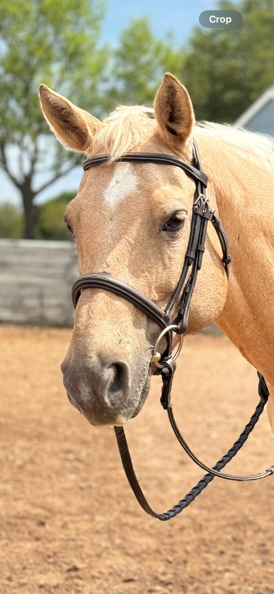 Huntfield Anatomical Bridle- Dark Brown